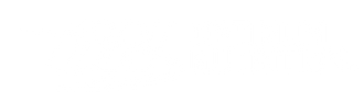 optimum-labs.it.com